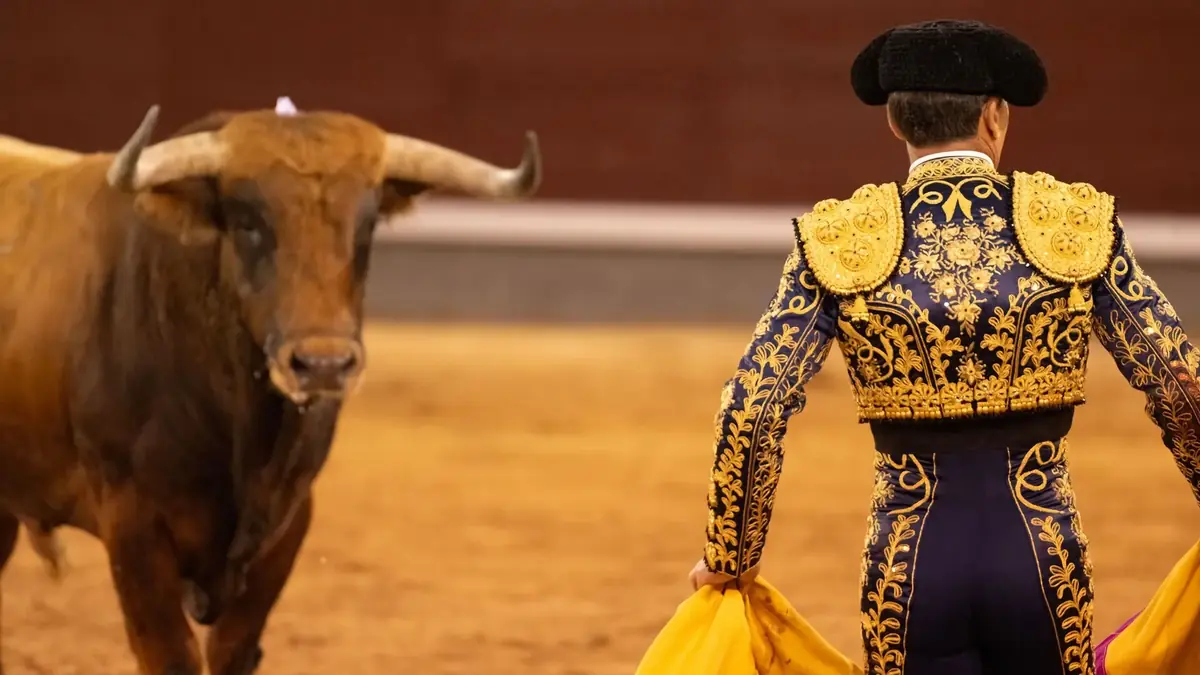 un taureau et un tor&eacute;ador dans une ar&egrave;ne en France, en pleine corrida