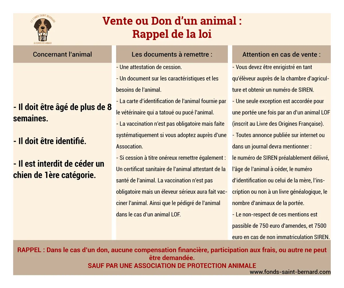 Comment dénoncer le non-respect de la réglementation en matière de vente ou de don d’un animal ?