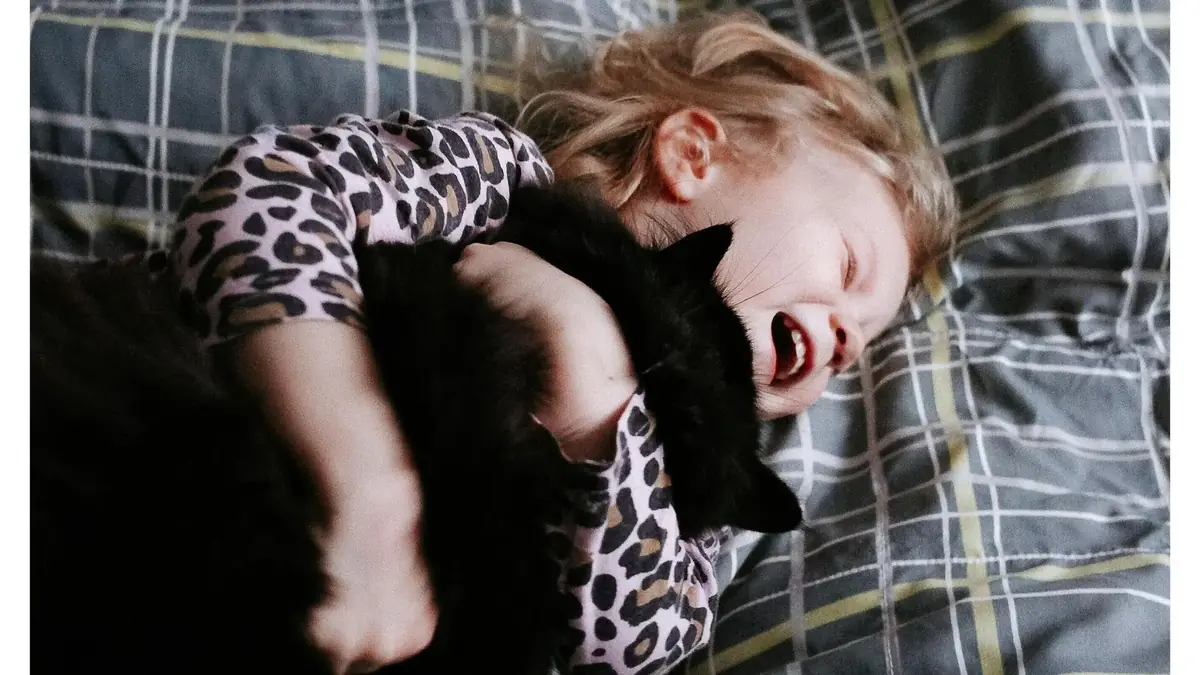 un chat tr&egrave;s c&acirc;lin