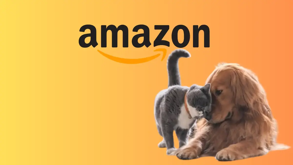 3 accessoires que tous les propri&eacute;taires de chiens et chats devraient connaitre