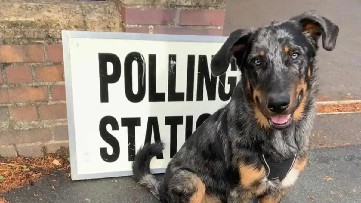 chien devant un bureau de vote au Royaume-Uni