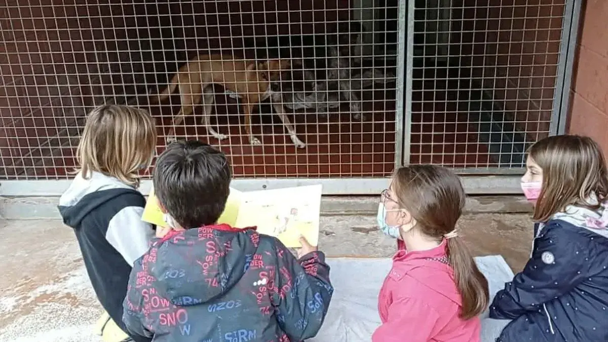 enfants qui lisent une histoire &agrave; un chien de refuge
