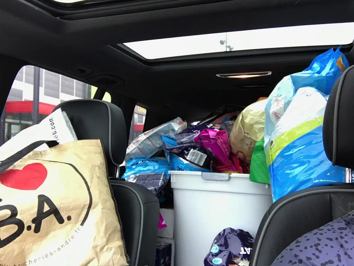 Une palette de croquettes et accessoires chiens / chats / nacs