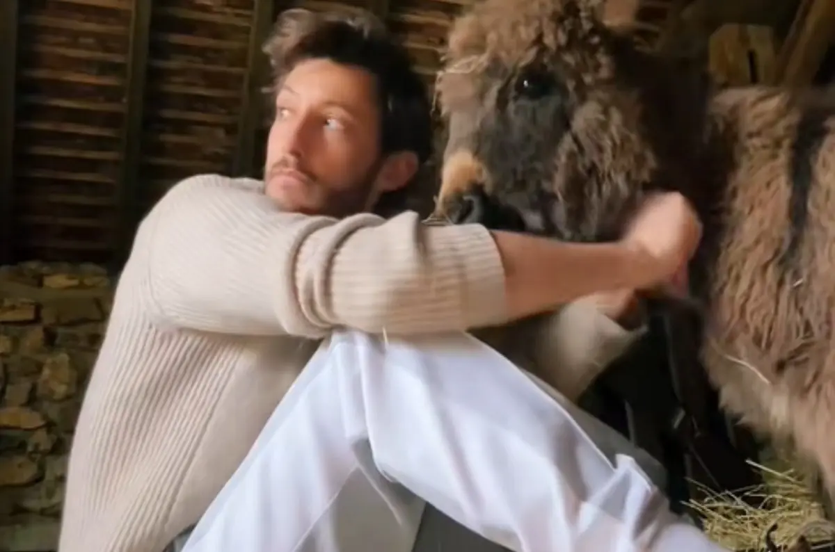 Capture d'&eacute;cran / TikTok / pierreniney