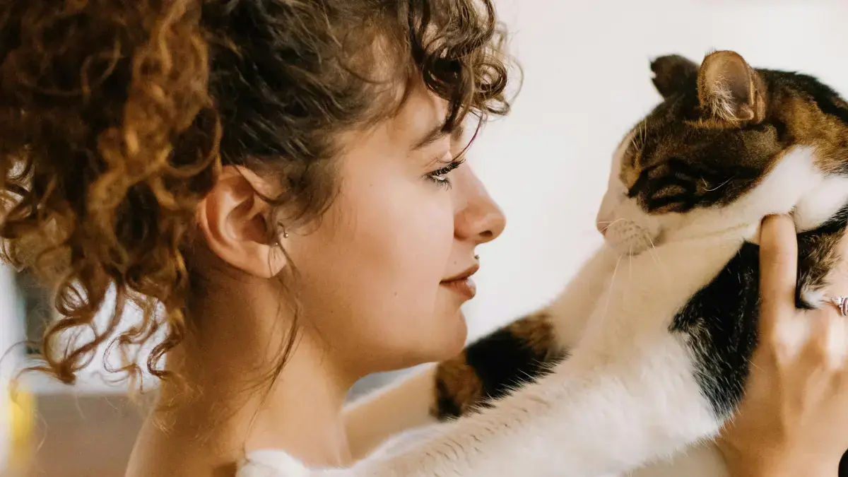 une humaine qui essaye de comprendre son chat