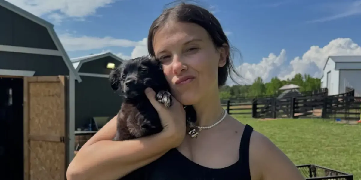 Millie Bobby Brown, stranger things, animaux de la ferme