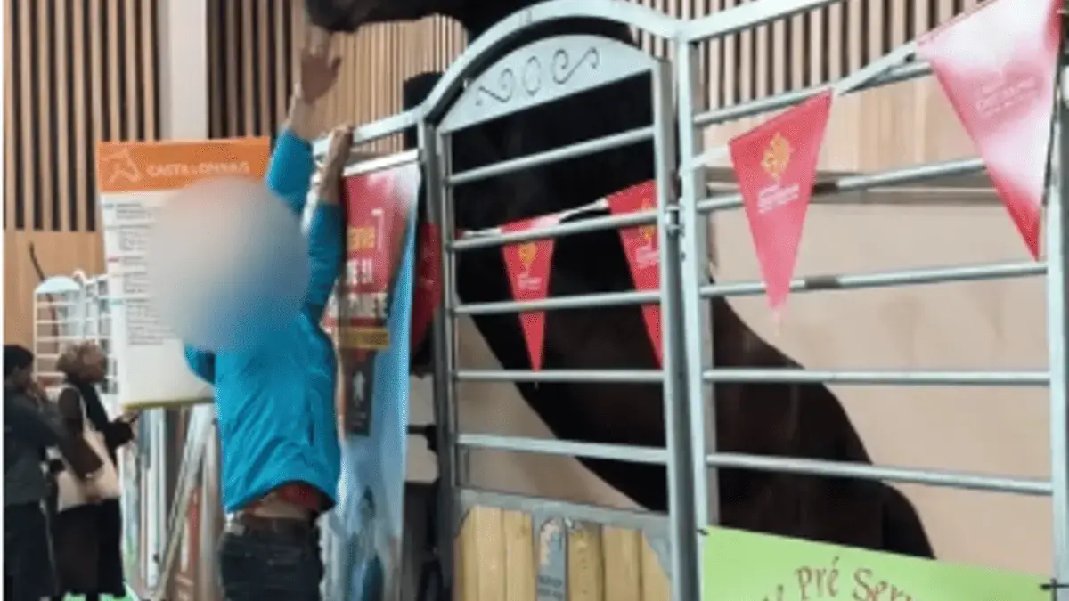 Cheval paniqu&eacute; au Salon de l'Agriculture 2026