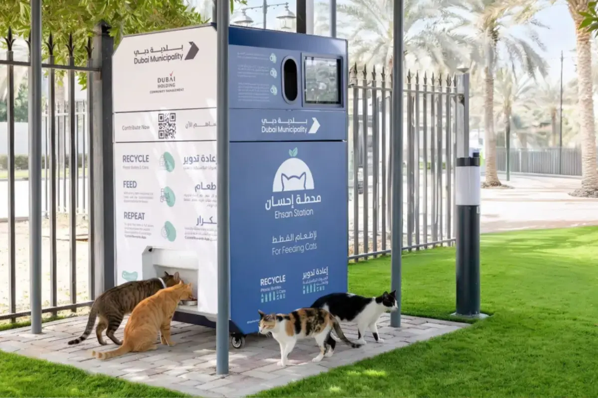 distributeur de nourriture &agrave; Duba&iuml;