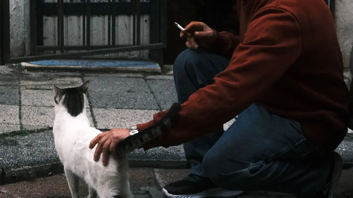 chat et son propri&eacute;taire qui fume