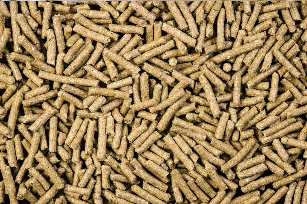 exemple de granul&eacute; pour ch&egrave;vre