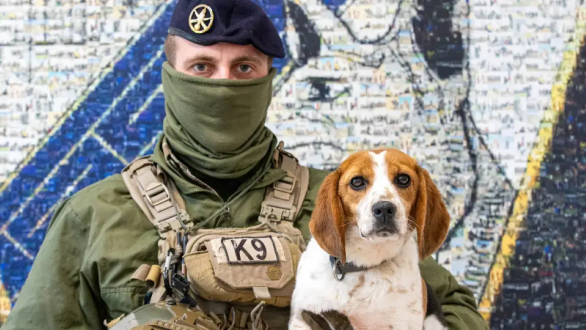 chien beagle dans les bras d'un militaire