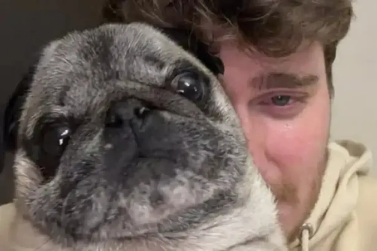 faux vol de chien Cyril Schreiner