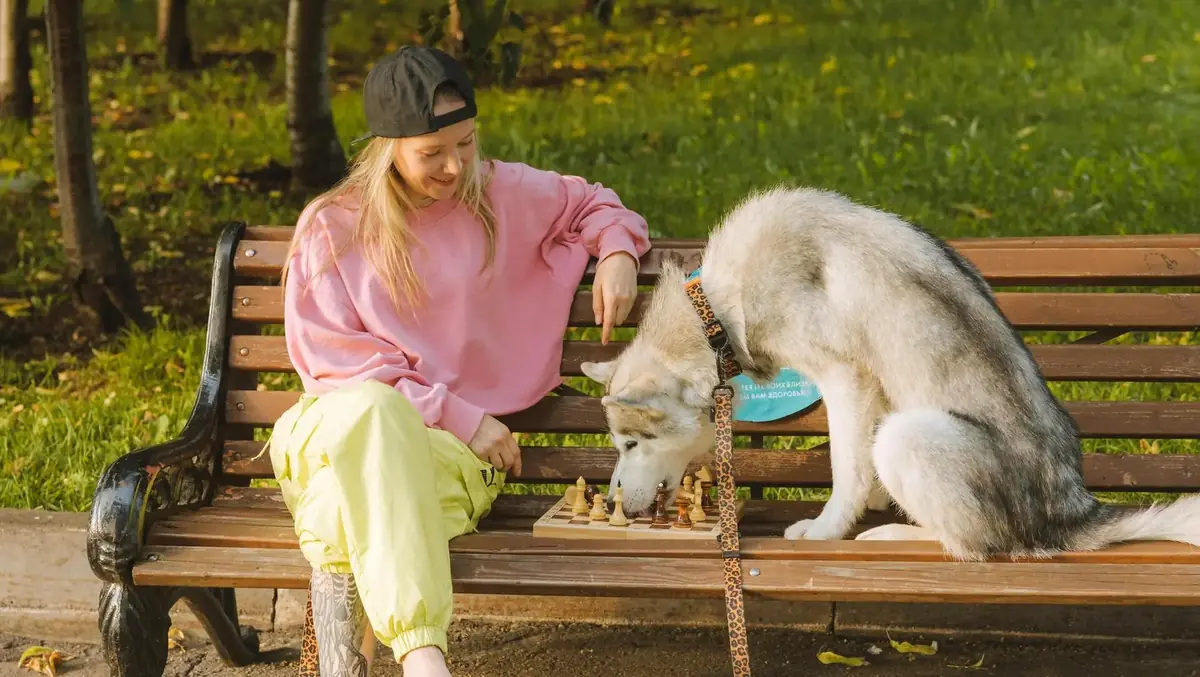 un chien et sa ma&icirc;tresse confortables en ville
