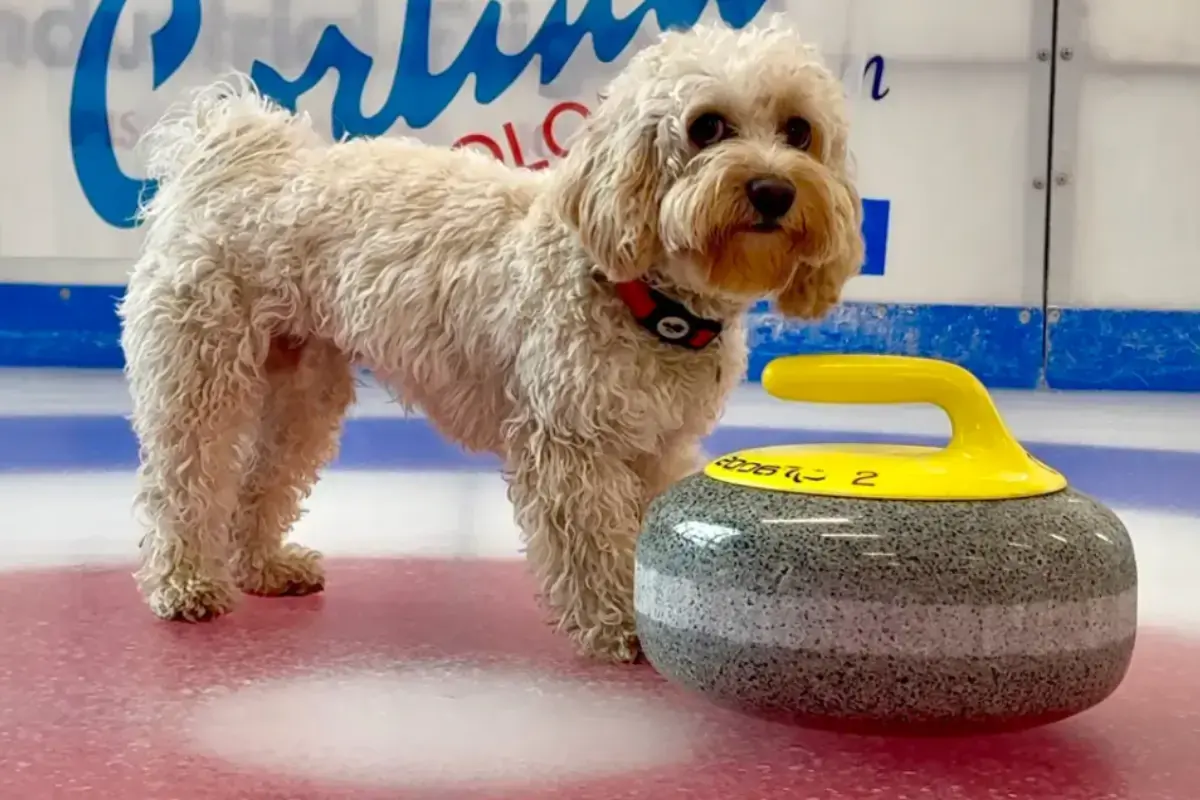 Chico, la mascotte des Jeux Olympiques