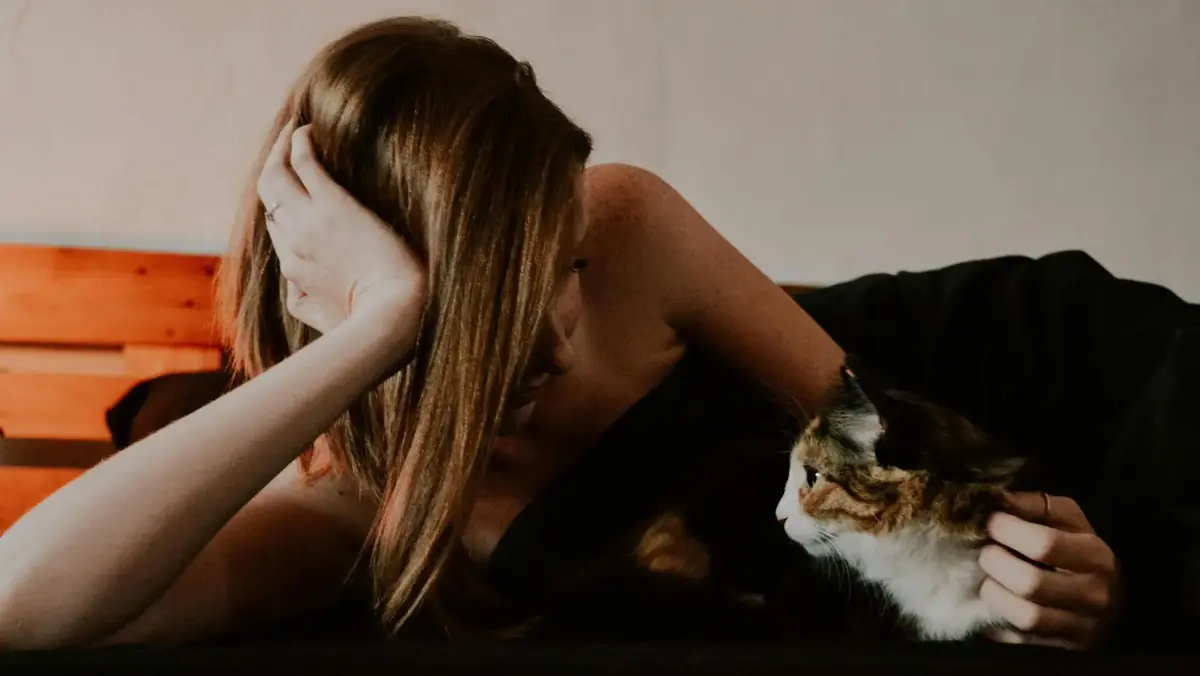 chat qui fait de l'hyper attachement et qui dort avec toi