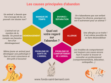 Avant d’adopter un animal : connaissez-vous les principales causes d’abandon ?