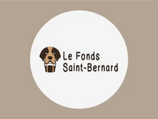 Comment faire maigrir son chat ?