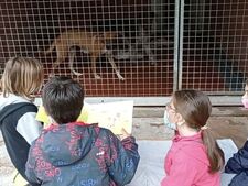 Dans ce refuge, des enfants lisent des histoires aux chiens… et les aident à s’apaiser