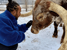 Lewis Hamilton et ses vaches Max et Ombre : l'amour des animaux n'a pas de frontières