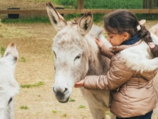 Nouvelle ferme à La Villette : apprendre aux enfants à respecter et aimer les animaux