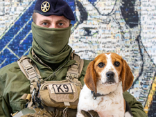 Une beagle intègre l’armée de terre, une première pour cette race