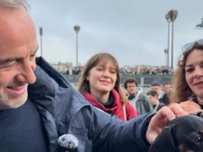 Municipales 2026 : Emmanuel Grégoire dévoile les grandes lignes de son programme pour les animaux