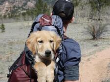 L'histoire de ce randonneur et du chien qu'il a rencontré au sommet du Kirghizistan va vous toucher