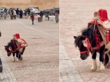 Découvrez le parcours incroyable de la ponette Halima