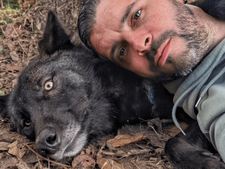 Chiens influenceurs : stars des réseaux ou otages du like ?