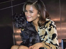 Cette méga star est une alliée discrète des animaux depuis de nombreuses années