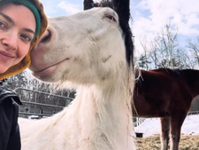 Quand une star d'Hollywood crée un refuge pour animaux à New York, ça donne ça