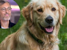 Michael Goldman parle de son amour pour sa chienne Wendy et de ce qu'en dit sa famille