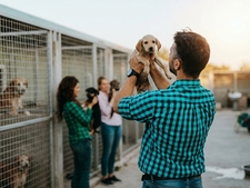 L’âge chez le chat et le chien, un critère déterminant pour l’adoption?