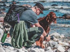 7 accessoires indispensables pour randonner avec son chien