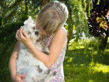 Pourquoi votre chien n’aime pas les câlins (même s’il vous aime)