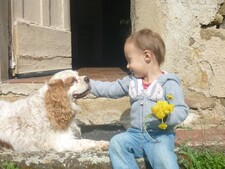 "Qui sauveriez-vous : un enfant ou votre chien ?" Ce que révèle ce débat sur le rapport aux animaux