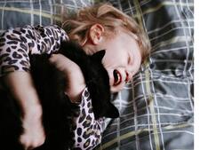 Un chat né dans la rue peut-il devenir un chat de famille ?