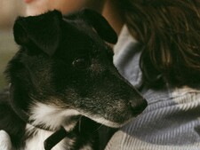 Trois femmes, une même conviction : chaque animal mérite une seconde chance