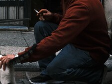 Tabagisme passif : un danger sous-estimé pour les chiens et les chats