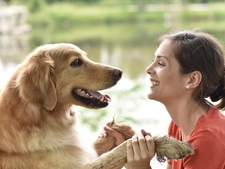 L'éducation positive du chien : principes et méthodes pour réussir