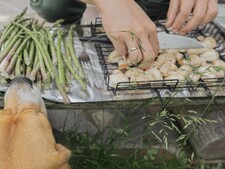 Barbecue : ces erreurs invisibles qui mettent votre chien en danger