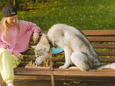 Ces villes où vivre avec un animal est (vraiment) plus facile