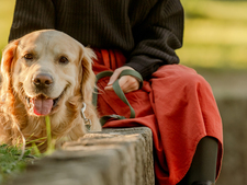 L'Autriche impose une formation avant d'adopter un chien : et si la France suivait ?