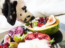 Ce nouveau restaurant à Lyon s'adresse à des clients bien particuliers