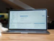 Adopter un animal en 2026 : comment utiliser les plateformes d'adoption responsable ?