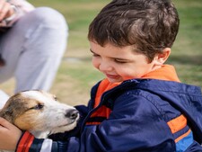 « Pourquoi toutes ces questions ? » : comment les refuges préparent une adoption durable