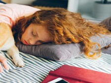 Stress des examens : et si dormir avec son animal aidait vraiment à l’apaiser ?