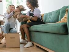 Ce “petit animal facile” est pourtant l’un des plus abandonnés (et personne n’en parle)