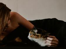 Mon chat fait de l’hyper attachement : Quelles conséquences pour son bien-être ?