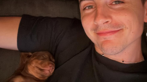 Timothée Chalamet et le chiot inconnu : quelles peuvent être les conséquences de cette publication ?